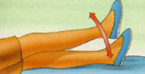 Image 004